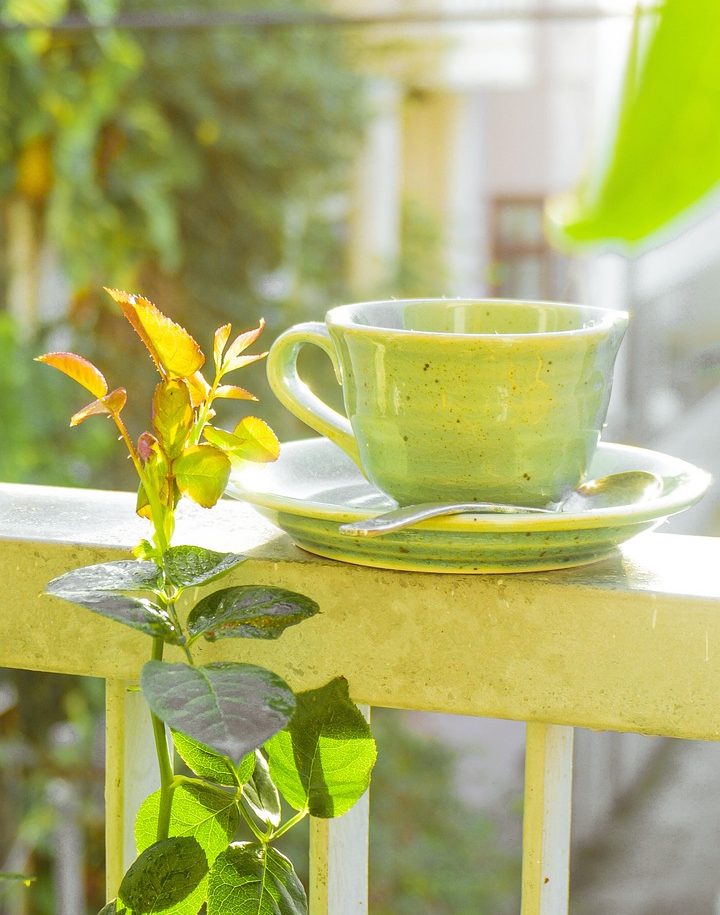 Cup of tea | hydration importance in older adults | Strensall Day Care Centre | York